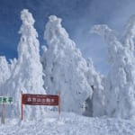 【画像】日本は世界でも希少な樹氷スポット！　一度は見ておきたい冬の絶景「スノーモンスター」の楽しみ方とは 〜 画像1