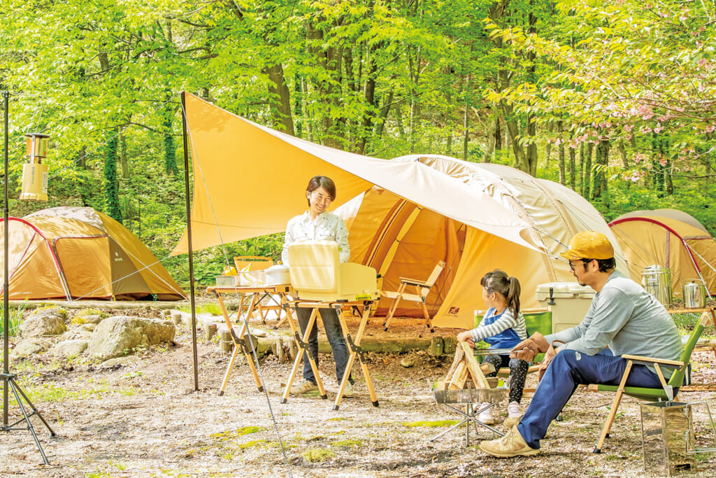 鳥取県東伯郡の大山隠岐国立公園内・一向平キャンプ場