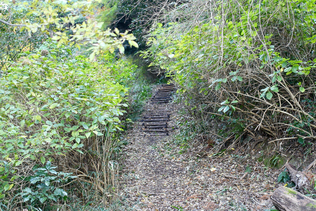 険道の入り口