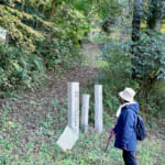 【画像】まさかの野生イノシシとのニアミスに「ガーン……！」　弘法大師も祀られる五百仏山ミニお遍路を歩く 〜 画像1