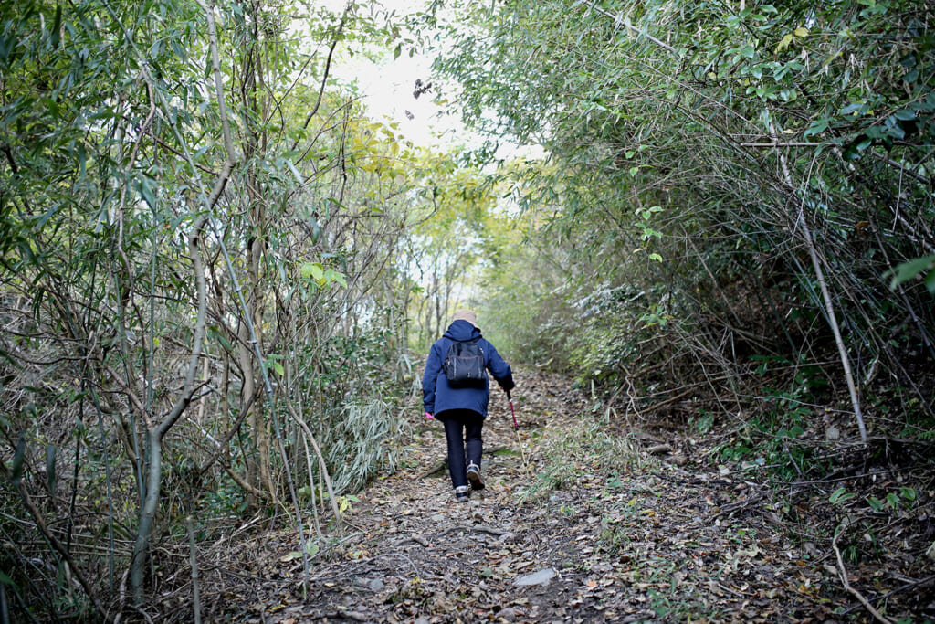 杖を持って山道を進む母