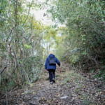 【画像】まさかの野生イノシシとのニアミスに「ガーン……！」　弘法大師も祀られる五百仏山ミニお遍路を歩く 〜 画像1