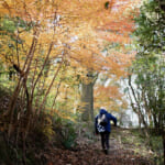 【画像】まさかの野生イノシシとのニアミスに「ガーン……！」　弘法大師も祀られる五百仏山ミニお遍路を歩く 〜 画像1