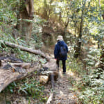 【画像】まさかの野生イノシシとのニアミスに「ガーン……！」　弘法大師も祀られる五百仏山ミニお遍路を歩く 〜 画像1