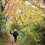 【画像】八十八カ所巡礼の途上で国宝の眺望も！　紅葉彩る根來寺参拝と「五百仏山」遊歩道ハイキングコースを歩く 〜 画像1