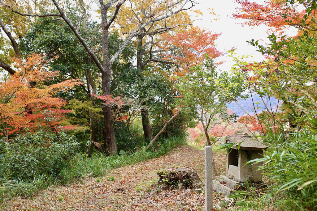 ほこらと紅葉