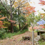 【画像】八十八カ所巡礼の途上で国宝の眺望も！　紅葉彩る根來寺参拝と「五百仏山」遊歩道ハイキングコースを歩く 〜 画像1