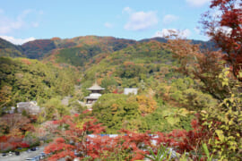 根來寺を一望する景色