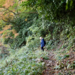 【画像】八十八カ所巡礼の途上で国宝の眺望も！　紅葉彩る根來寺参拝と「五百仏山」遊歩道ハイキングコースを歩く 〜 画像1