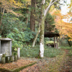 【画像】八十八カ所巡礼の途上で国宝の眺望も！　紅葉彩る根來寺参拝と「五百仏山」遊歩道ハイキングコースを歩く 〜 画像1