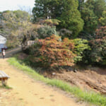 【画像】紅葉彩る絶景散策！　春は桜の名所としても知られる和歌山県最大級のため池「亀池公園」を歩く 〜 画像1