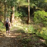 【画像】紅葉彩る絶景散策！　春は桜の名所としても知られる和歌山県最大級のため池「亀池公園」を歩く 〜 画像1