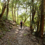 【画像】紅葉彩る絶景散策！　春は桜の名所としても知られる和歌山県最大級のため池「亀池公園」を歩く 〜 画像1