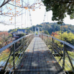 【画像】紅葉彩る絶景散策！　春は桜の名所としても知られる和歌山県最大級のため池「亀池公園」を歩く 〜 画像1