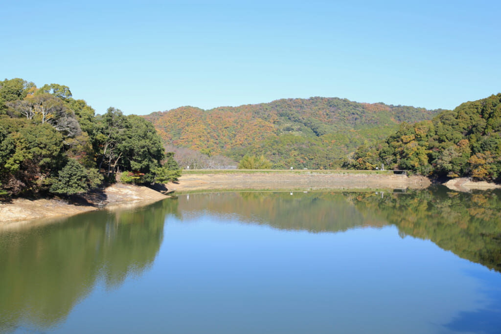 橋からの景色