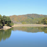 【画像】紅葉彩る絶景散策！　春は桜の名所としても知られる和歌山県最大級のため池「亀池公園」を歩く 〜 画像1