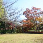 【画像】紅葉彩る絶景散策！　春は桜の名所としても知られる和歌山県最大級のため池「亀池公園」を歩く 〜 画像1