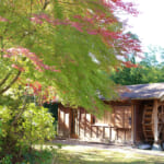 【画像】紅葉彩る絶景散策！　春は桜の名所としても知られる和歌山県最大級のため池「亀池公園」を歩く 〜 画像1