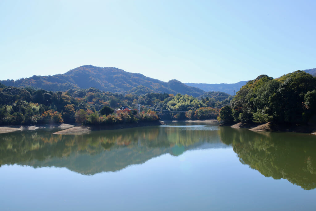 堤防から見た亀池