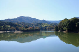 堤防から見た亀池