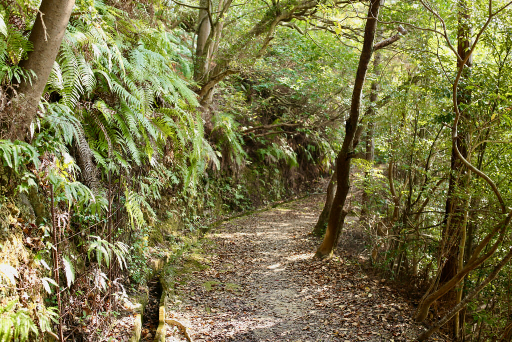 細い山道