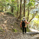 【画像】石碑に潜む森へ誘われる！　まるで絵画のような景色が広がる県下唯一のため池百選「亀池公園」を歩く 〜 画像1