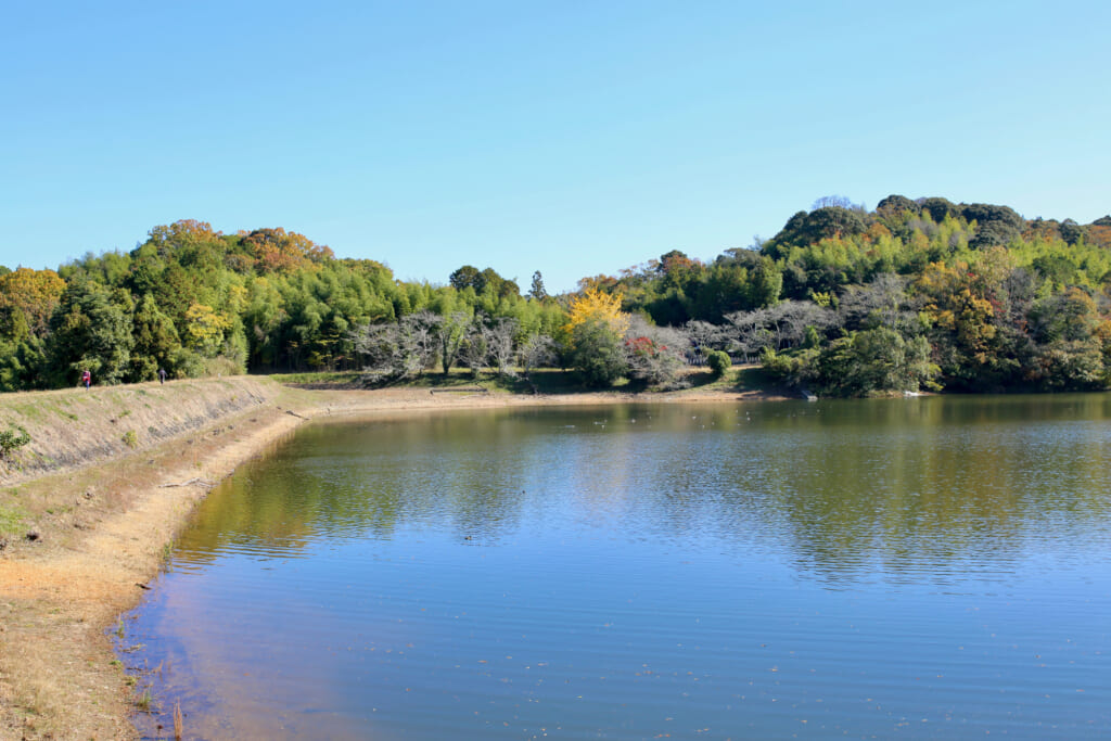 堤防と新亀池