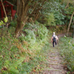 【画像】石碑に潜む森へ誘われる！　まるで絵画のような景色が広がる県下唯一のため池百選「亀池公園」を歩く 〜 画像1