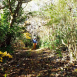 【画像】水戸黄門も登山した神峰山！　世界一の高さを誇ったおばけ煙突にまつわる秘話とは 〜 画像1