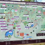 【画像】県内最大級の前方後円墳からの絶景にため息！　秋は紅葉に魅せられる「紀伊風土記の丘」三世代プチハイキング 〜 画像1