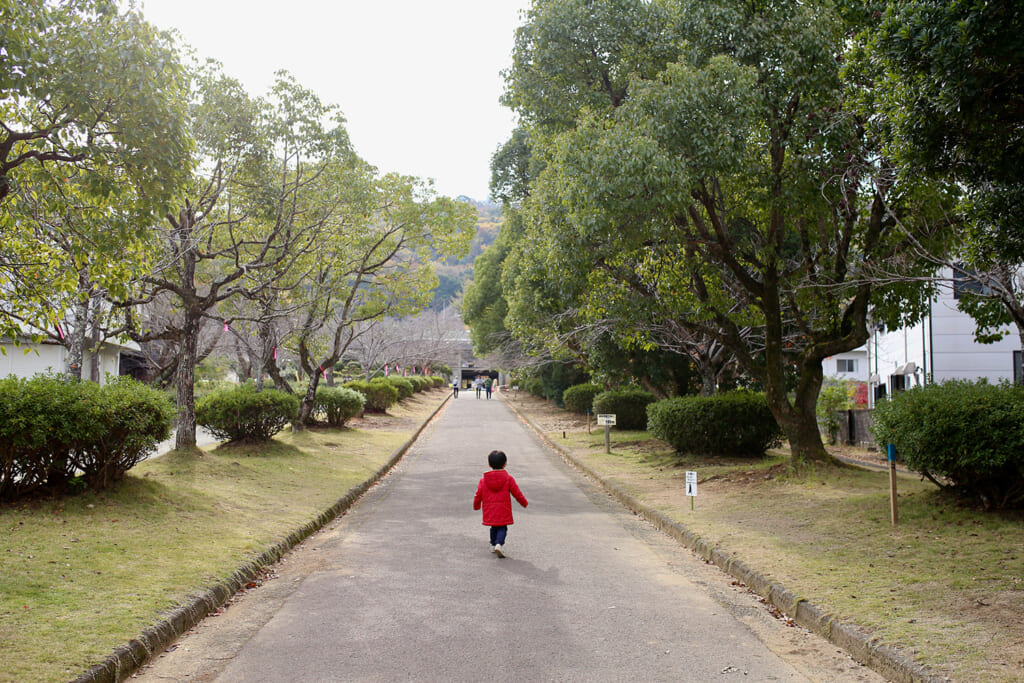 エントランスの坂道