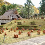 【画像】県内最大級の前方後円墳からの絶景にため息！　秋は紅葉に魅せられる「紀伊風土記の丘」三世代プチハイキング 〜 画像1