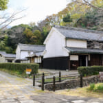 【画像】県内最大級の前方後円墳からの絶景にため息！　秋は紅葉に魅せられる「紀伊風土記の丘」三世代プチハイキング 〜 画像1