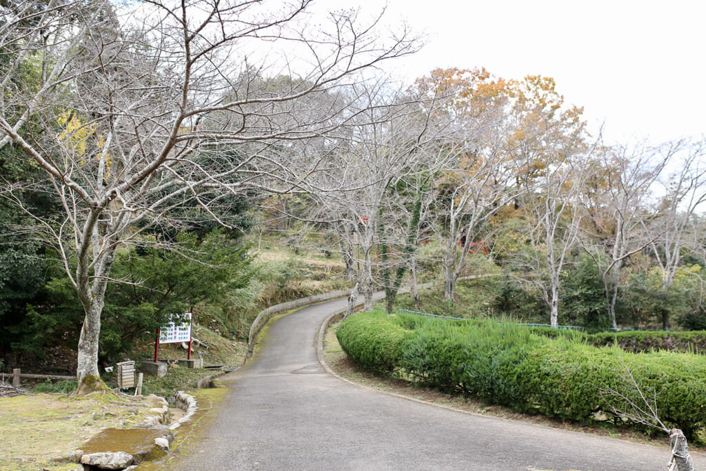 分岐右の道