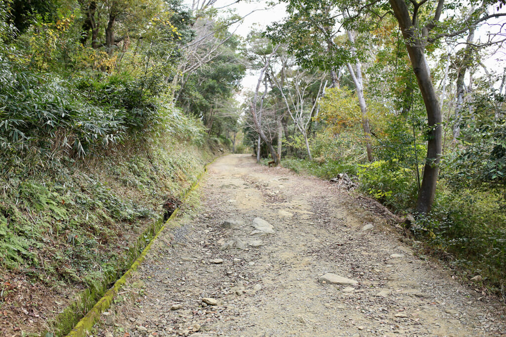 岩肌の露出した道