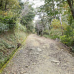 【画像】県内最大級の前方後円墳からの絶景にため息！　秋は紅葉に魅せられる「紀伊風土記の丘」三世代プチハイキング 〜 画像1