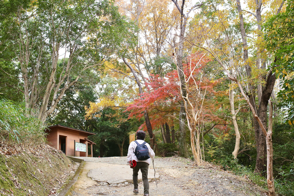 休憩所に続く道