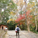 【画像】県内最大級の前方後円墳からの絶景にため息！　秋は紅葉に魅せられる「紀伊風土記の丘」三世代プチハイキング 〜 画像1