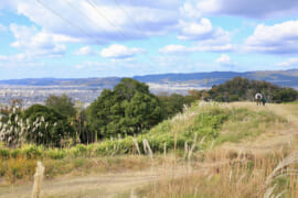 大日山35号墳前方部からの景色