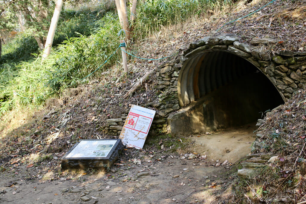 トンネル状の入り口