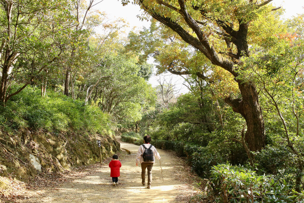 山道を進む2人