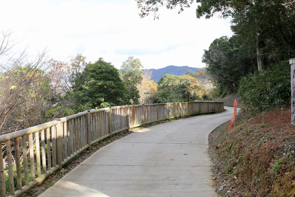 天王塚古墳に続く舗装路