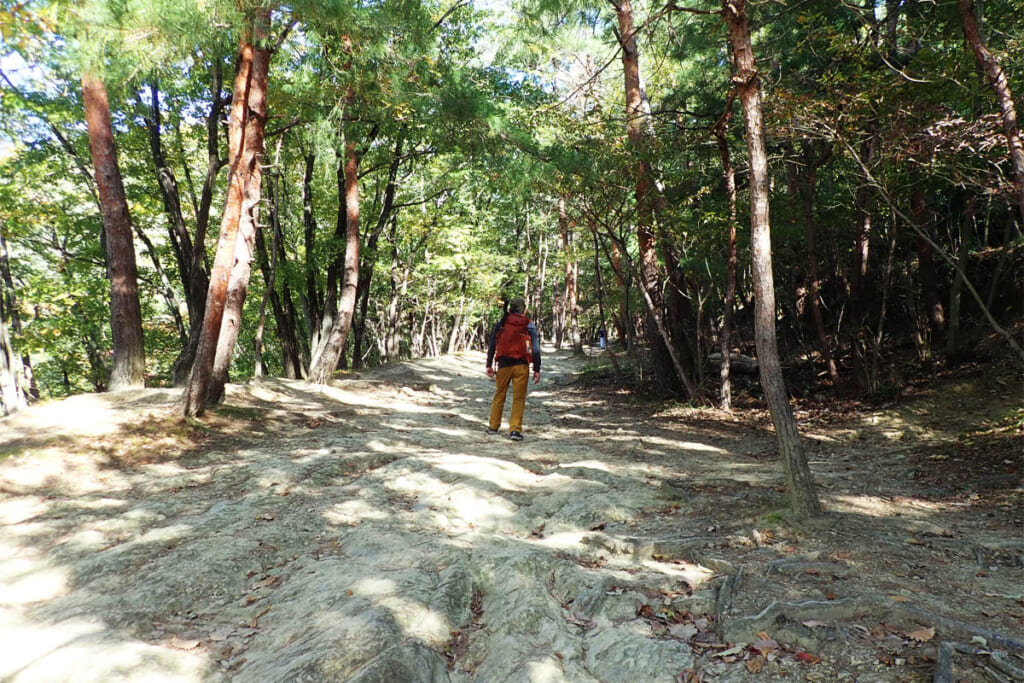 登山口までの快適なトレイル