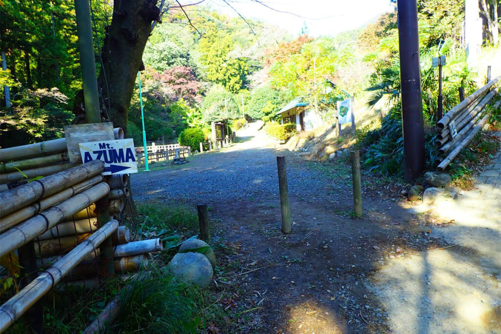 吾妻公園に散策