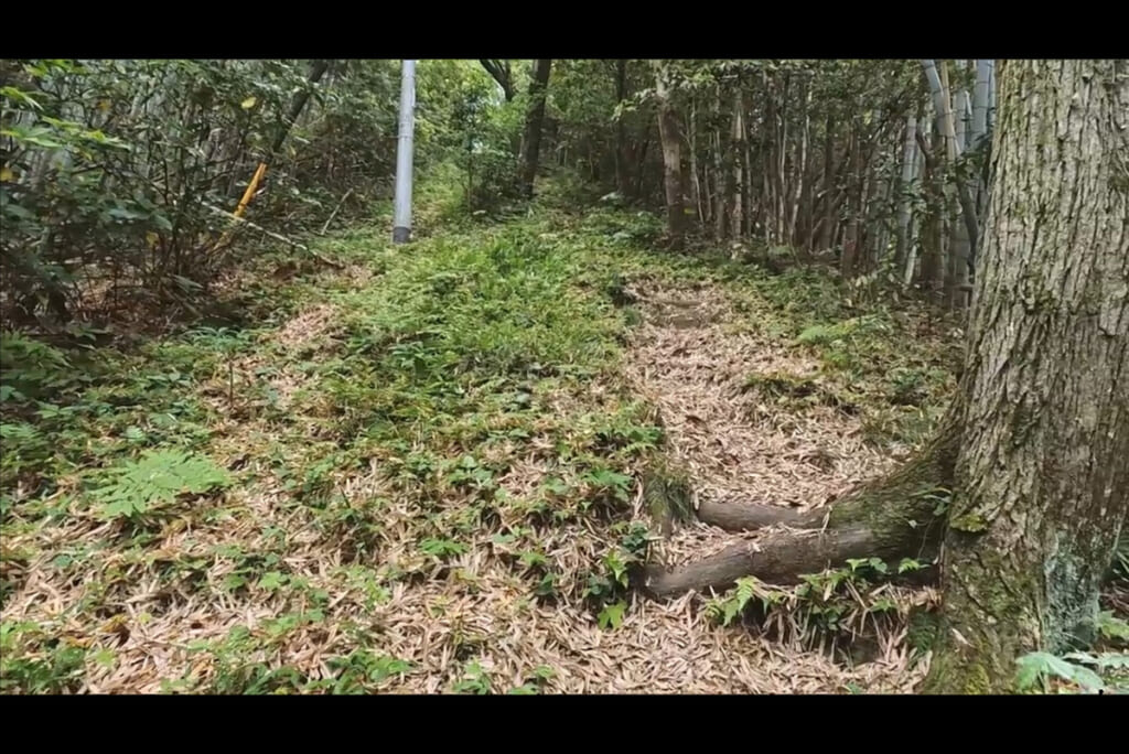 急勾配の登山道