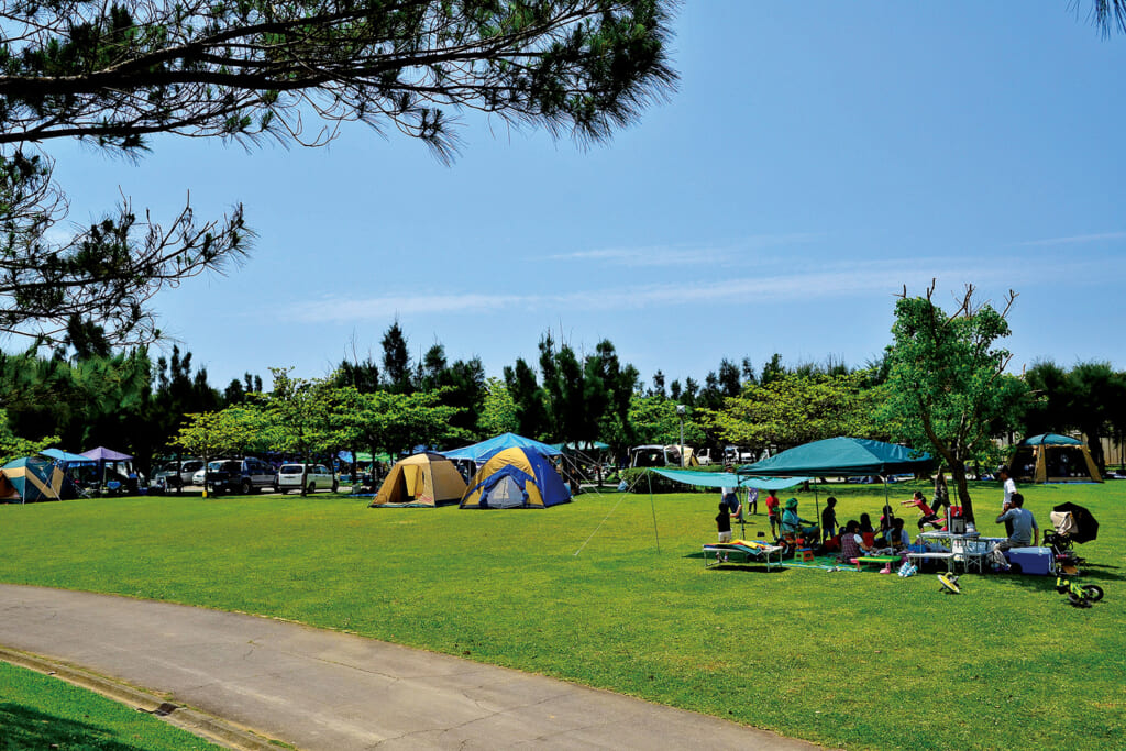 沖縄県沖縄市の沖縄県総合運動公園 オートキャンプ場