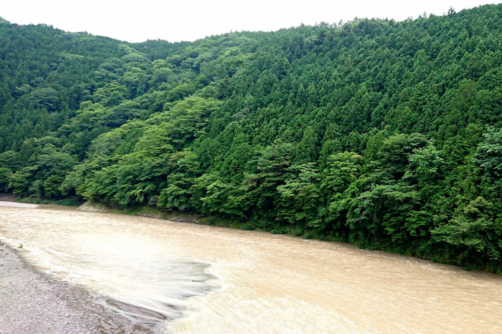 増水した河川