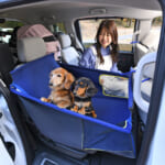 【画像】「車中泊」や「愛犬とドライブ」なら「用品付きホンダ車」がオススメ！　その理由とは 〜 画像1