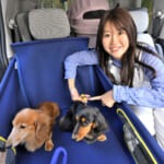 【画像】「車中泊」や「愛犬とドライブ」なら「用品付きホンダ車」がオススメ！　その理由とは 〜 画像1