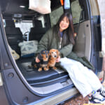 【画像】「車中泊」や「愛犬とドライブ」なら「用品付きホンダ車」がオススメ！　その理由とは 〜 画像1